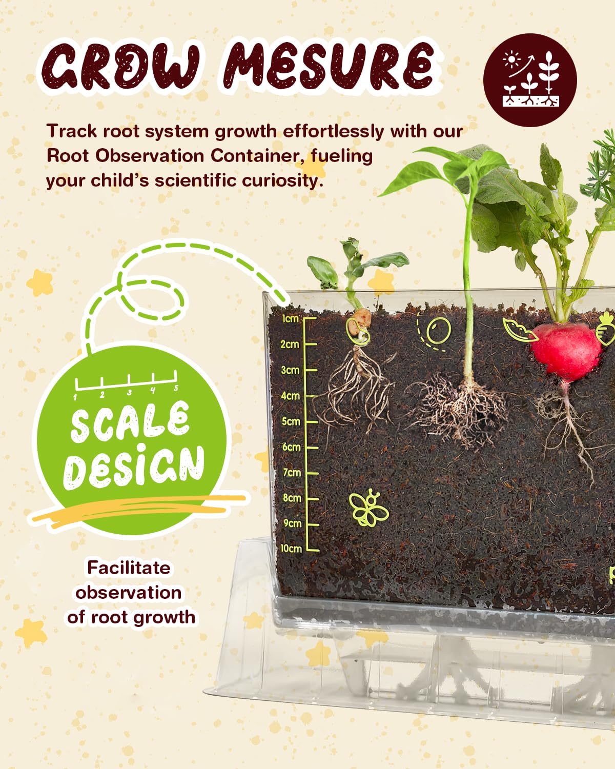 Amazon.com: Root Viewer Kit for Kids with 6 Seed Varieties - STEM