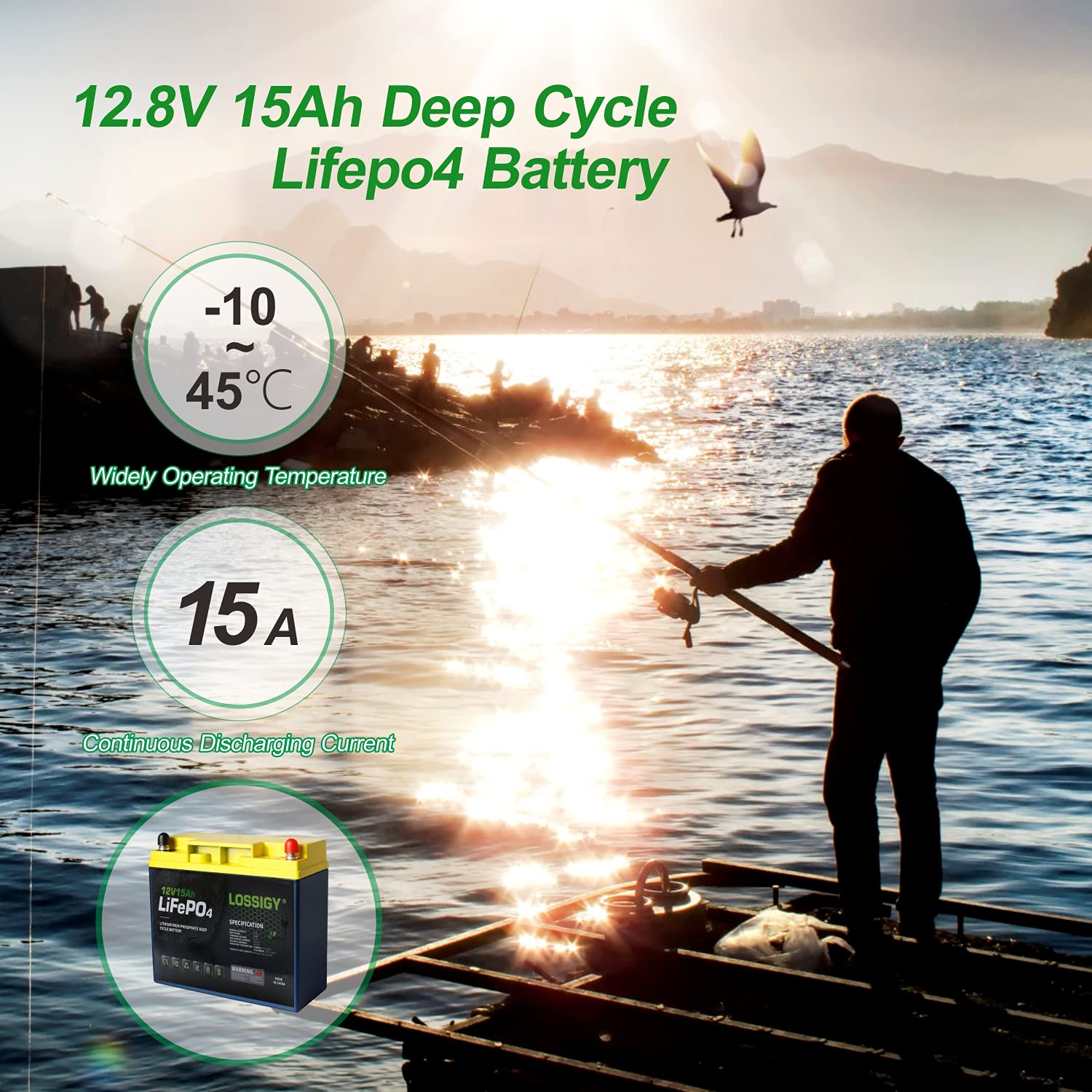 Buy LOSSIGY 12 Volt Lithium Ion Battery 15Ah Rechargeable Lifepo4