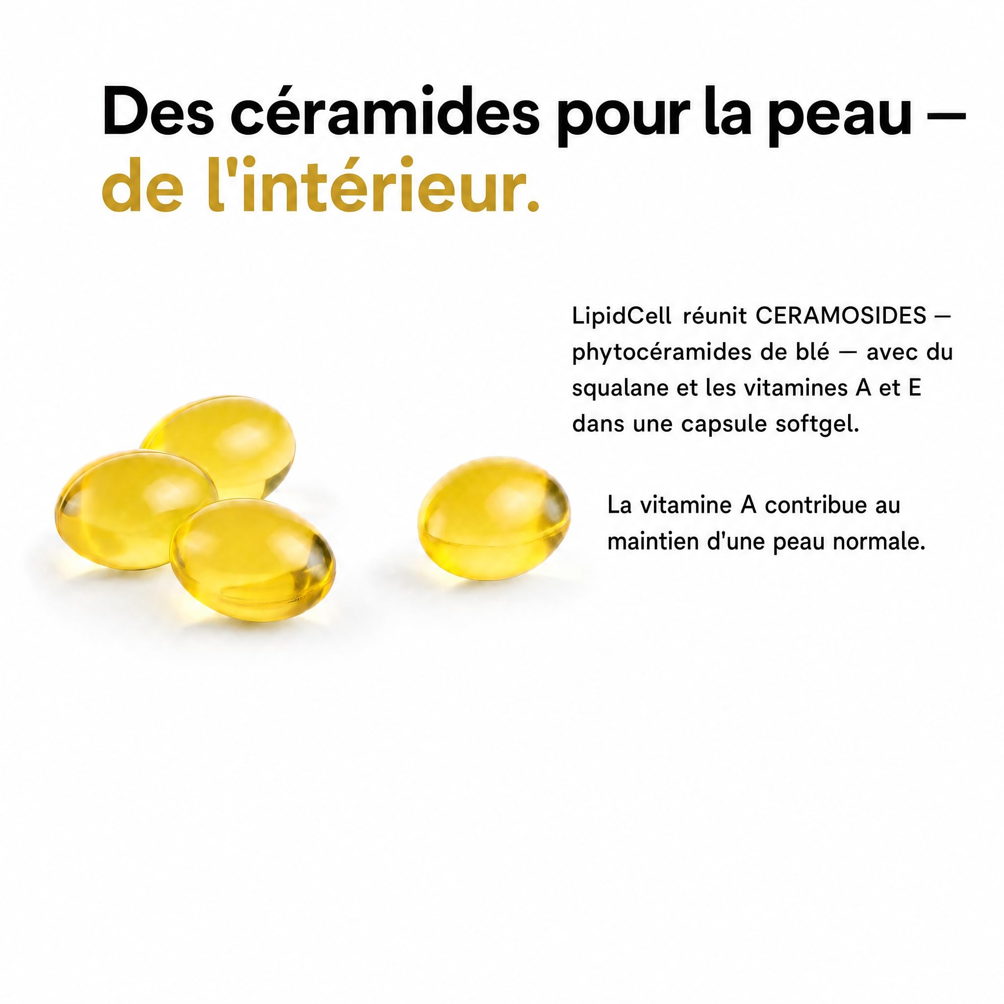 Phytoceramides – CERAMOSIDES 70 mg, Vitamine A et E, Squalane – La vitamine A contribue au maintien d'une peau normale – Peau sèche, ménopause (60 capsules molles)