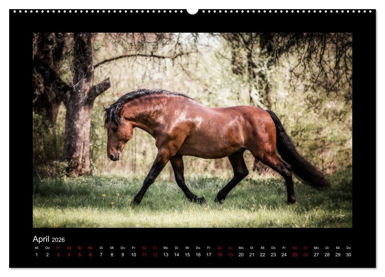 Die Faszinierende Welt der Pferde (Wandkalender 2026 DIN A2 quer), CALVENDO Monatskalender: Lassen Sie sich entführen in die Faszinierende Welt der Pferde (CALVENDO Tiere)