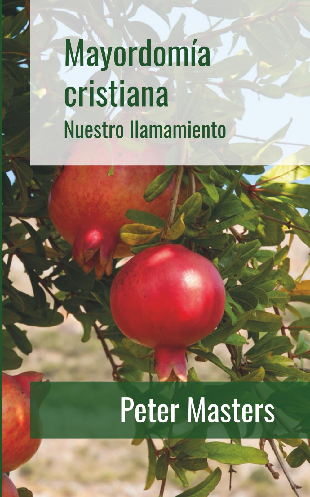 Mayordomía Cristiana: Nuestro llamamiento