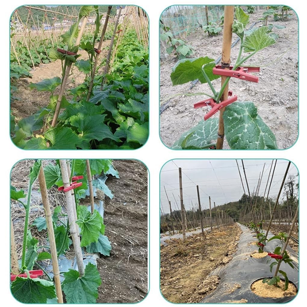 300 piezas, abrazaderas de Rojo Abrazadera de posicionamiento en L | jardín, ajustables, resistentes y duraderas, para plantas trepadoras, soporte y orquídeas, abrazaderas, , Rojo , Abrazadera