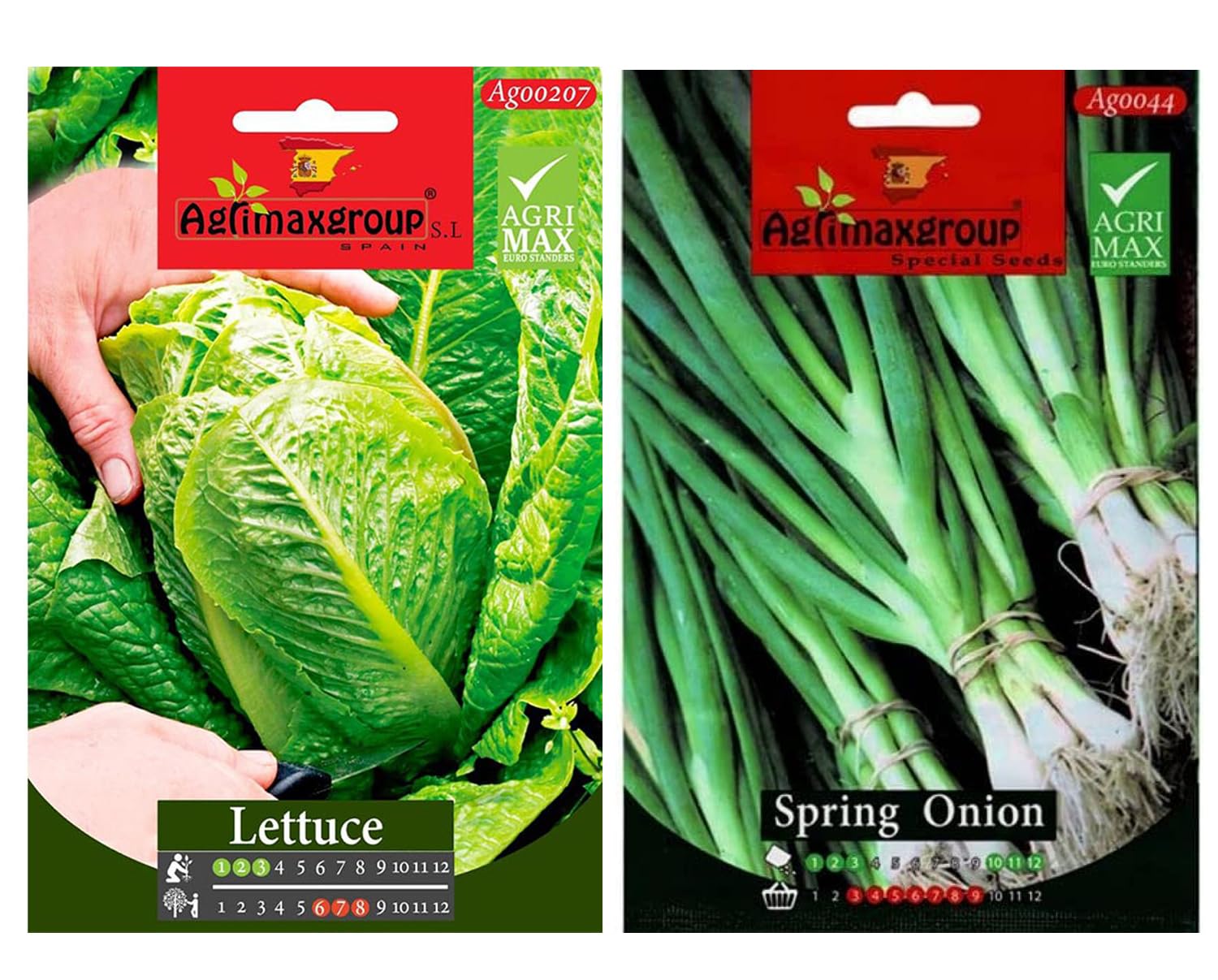 Spring Onion + Lettuce | Premium Quality Agrimaxgroup Seeds Hybrid,Organic Non GMO Vegetable Seeds for Home and Garden Plants,Easy to Plant,| Made in SPAIN| 2pcs