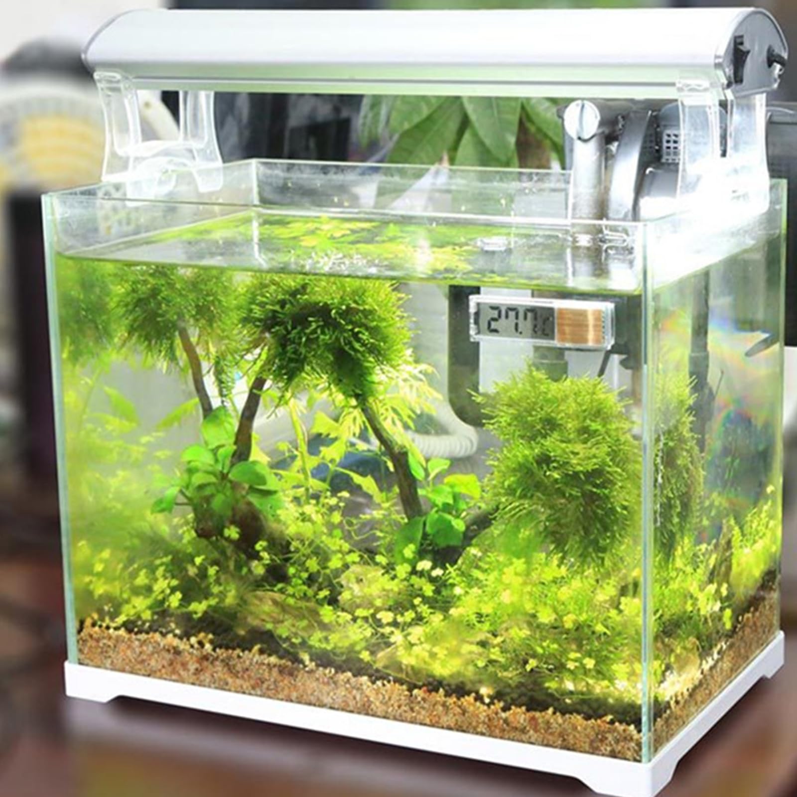 Amphibians Fishtanks for Aquariums Terrariums Temperature Monitors with LCD Display