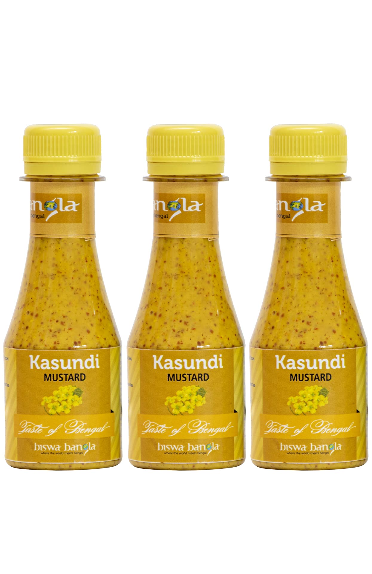biswa bangla - where the world meets bengal Kasundi 100gm - Pack of 3 (B09FFGB9LW) Amazon Price History, Amazon Price Tracker