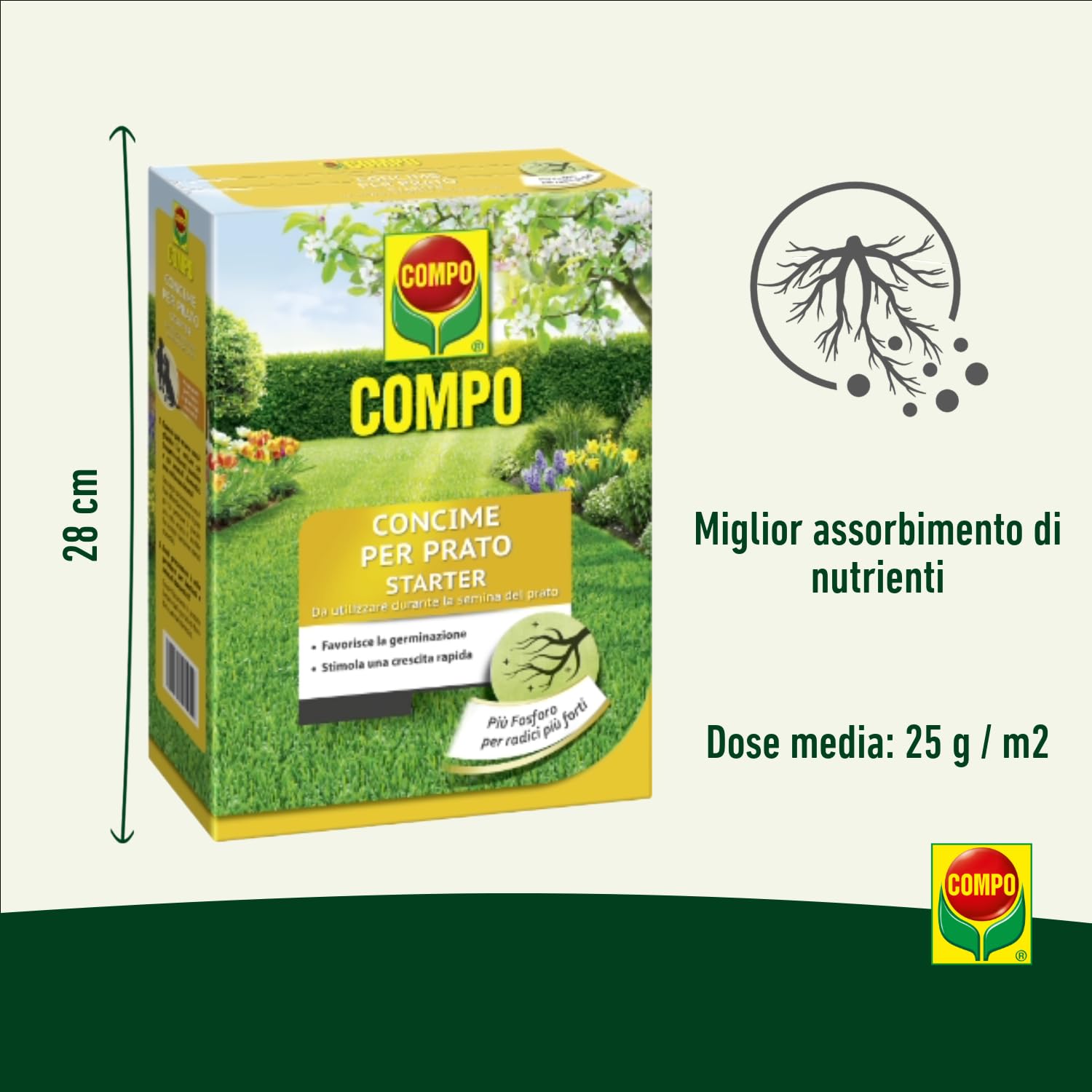 COMPO Concime per Prato Starter, Per la Semina e la Rigenerazione di Tappeti Erbosi, Per Radici Più Forti, 2,5 kg