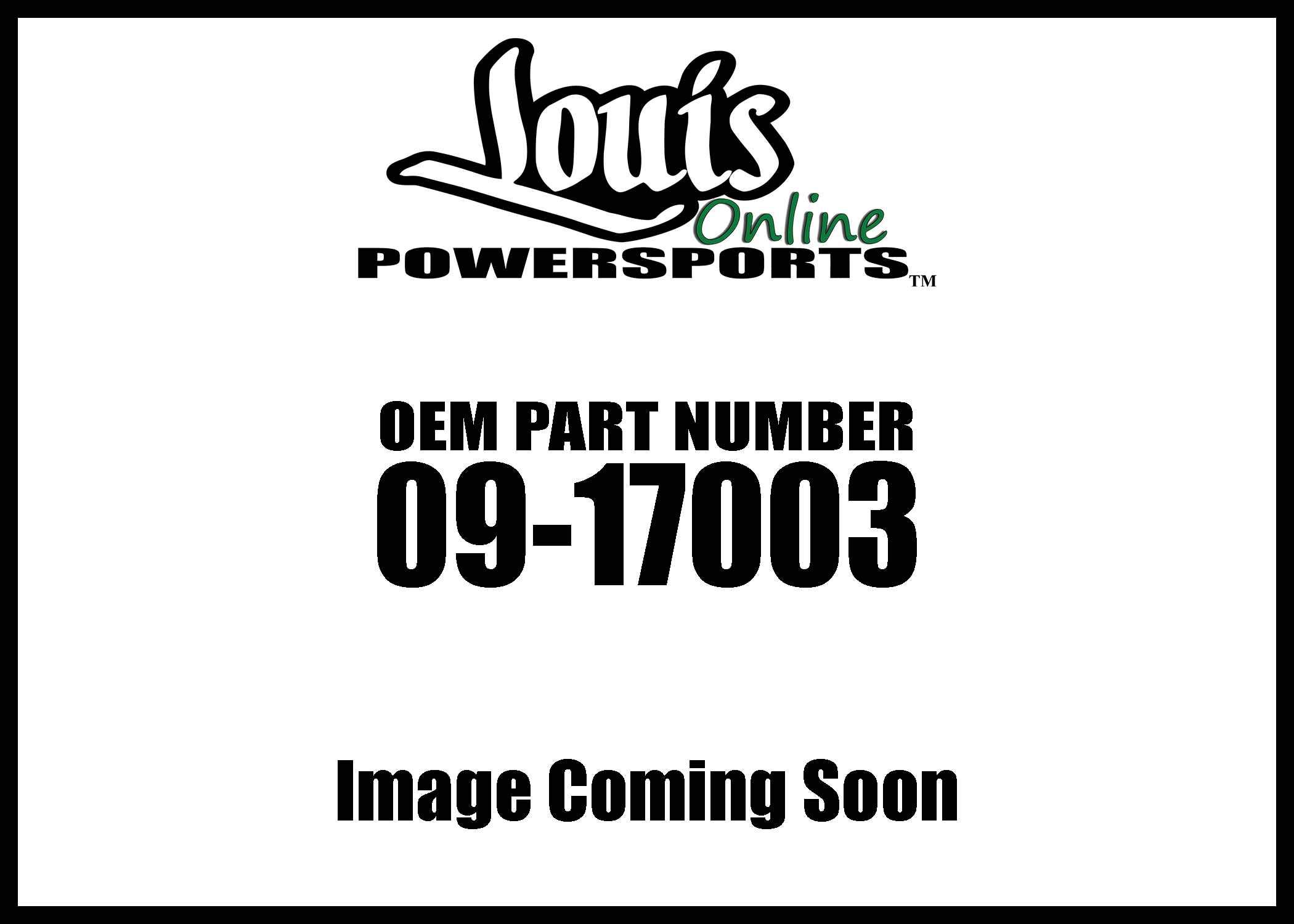 Big Gun EVO R Exhaust System - Single Exhaust System/Stainless Steel