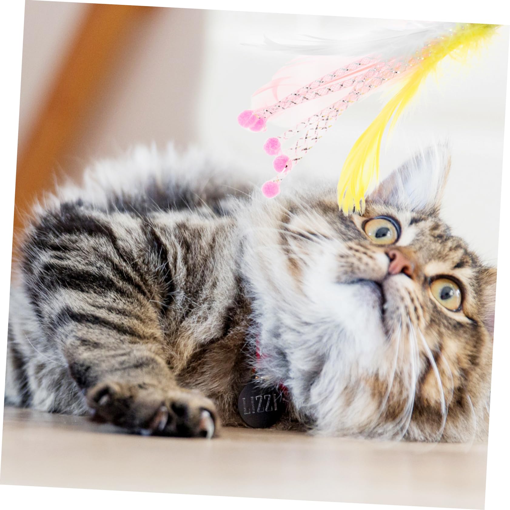 INOOMP 40stücke Katzenspielzeug Teiliges Aus Feder Und Klangspielzeugen Interaktive Spielzeuge Für Drinnen Geeignet Für Katzenalter Fördert Bewegung Und Stressabbau