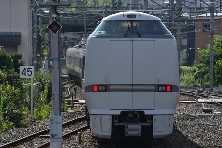 Amazon.co.jp: TAMRON 超望遠ズームレンズ SP AF200-500mm F5-6.3 Di