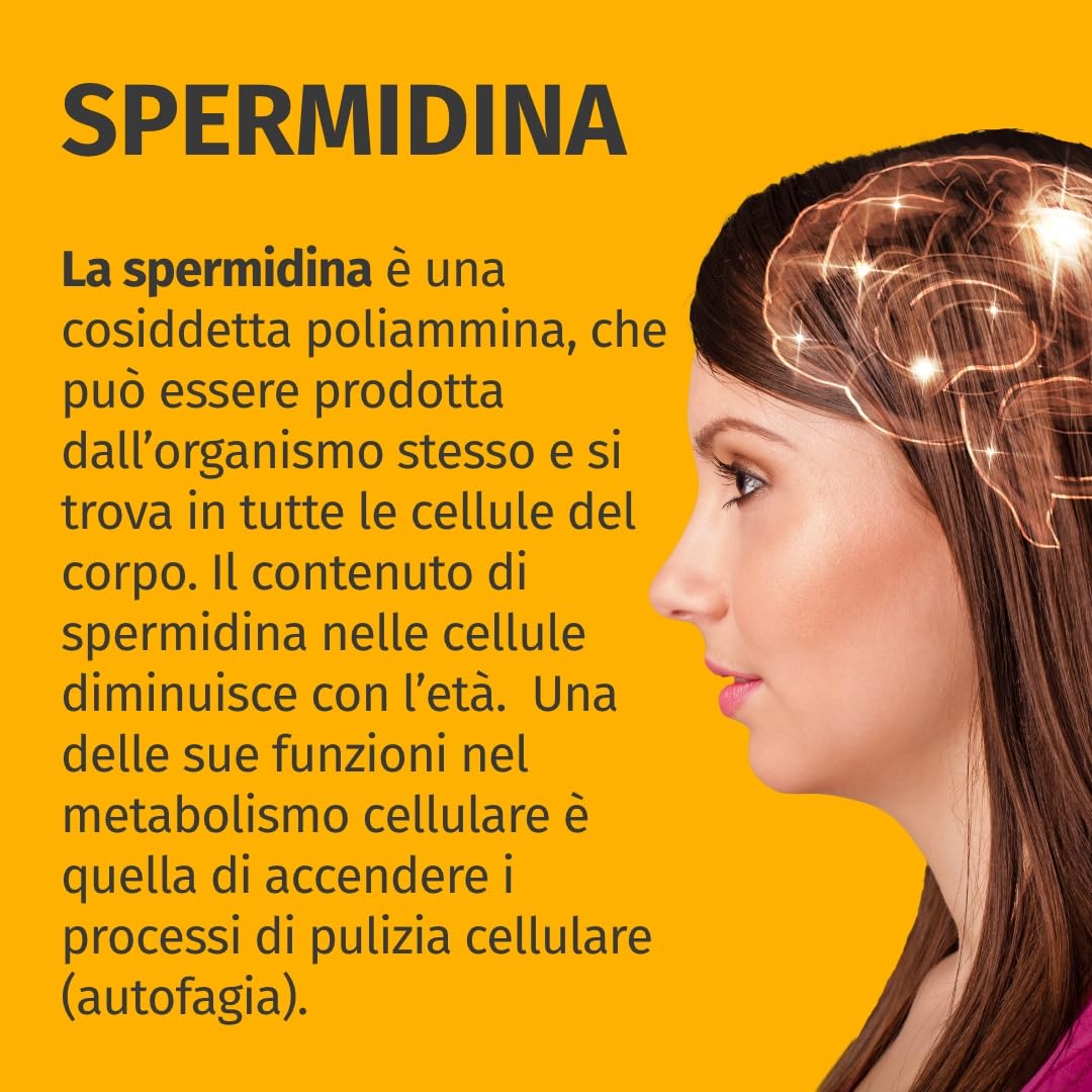 Spermidina Forte - Dosaggio elevato: 6 mg per capsula dall'estratto di germe di grano - Testato in laboratorio - 120 Capsule - Green Naturals®