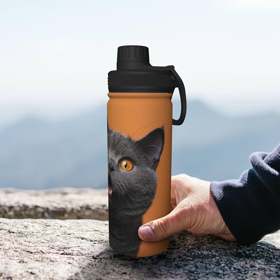 Amazon | 猫 猫柄 ねこ 英国のショートヘア猫 水筒 真空断熱 保温 保冷