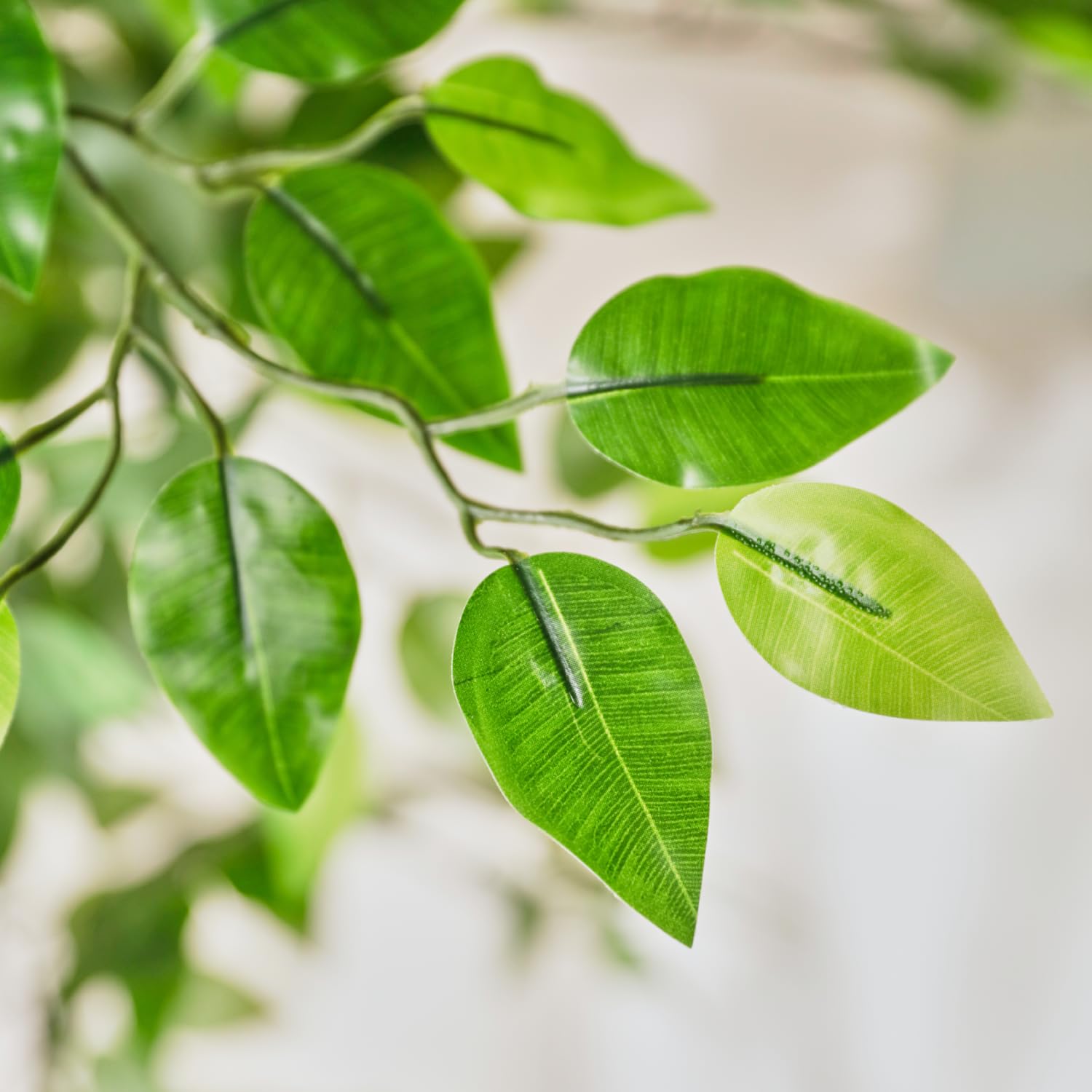 Bonerva | Ficus Nature 180 cm Altura | Planta Artificial con Tronco Natural | Ideal para Decorar Interiores: hogares, Negocios y hoteles