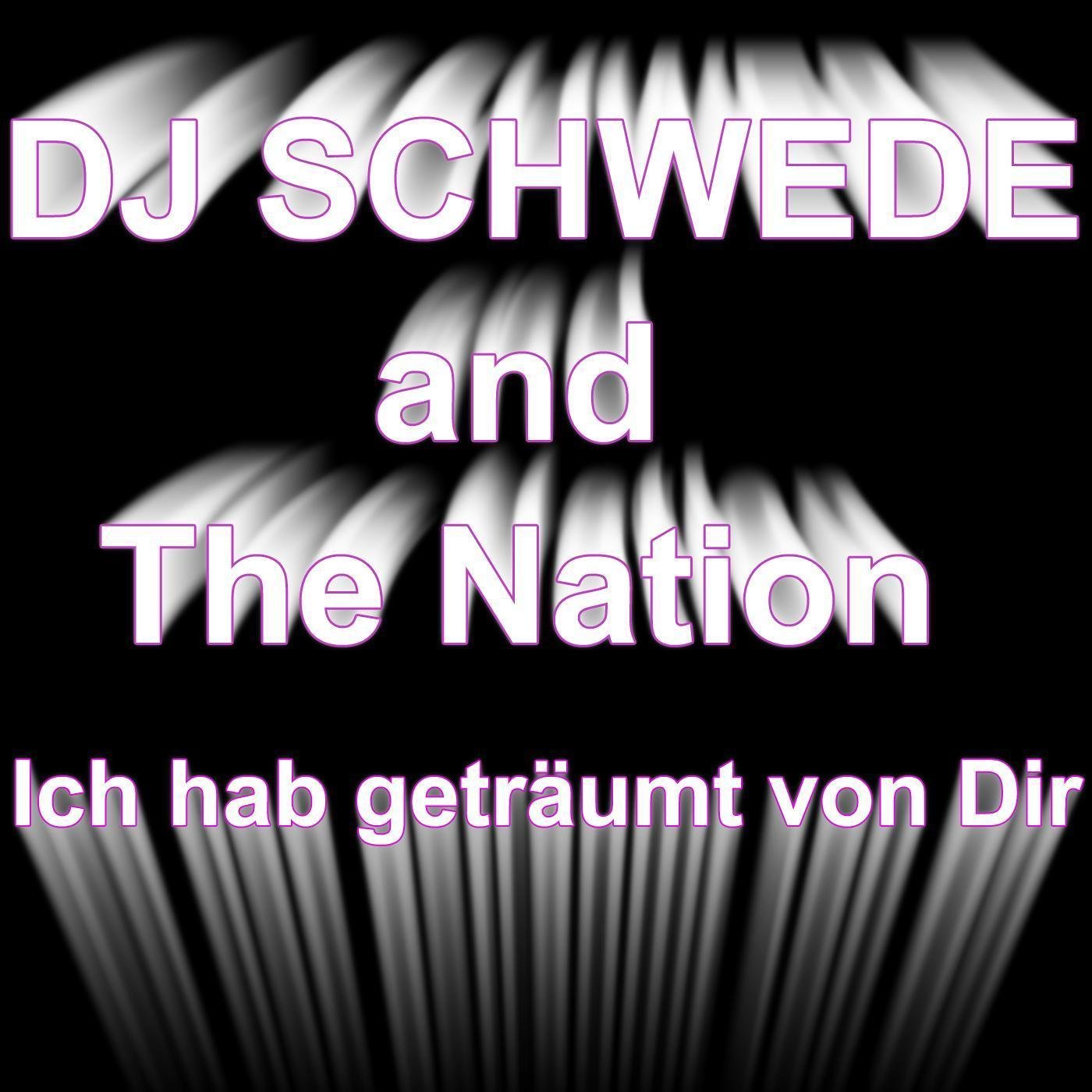 DJ Schwede and the Nation