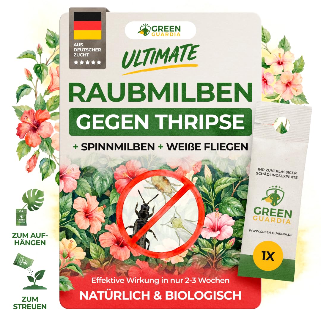 GREEN GUARDIA Turbo Raubmilben gegen Thripse, Weiße Fliegen & Spinnmilben – Biologisches Mittel zur effektiven Thripse Bekämpfung – Umweltfreundlich, chemiefreie Mittel, einfache Anwendung