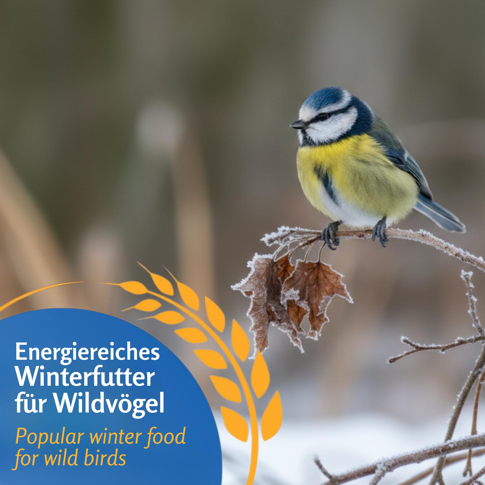 Leimüller Karma dla ptaków Winter Spezial 25 kg karma dla dzikich ptaków | Z owadami i pestkami słonecznika, bogata w energię, karma dla dzikich ptaków