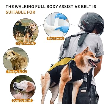 抱っこ紐　スリング　犬　FUNDLE 楽天市場】犬 スリング 肩スリット入り 犬 抱っこ紐 ドッグス