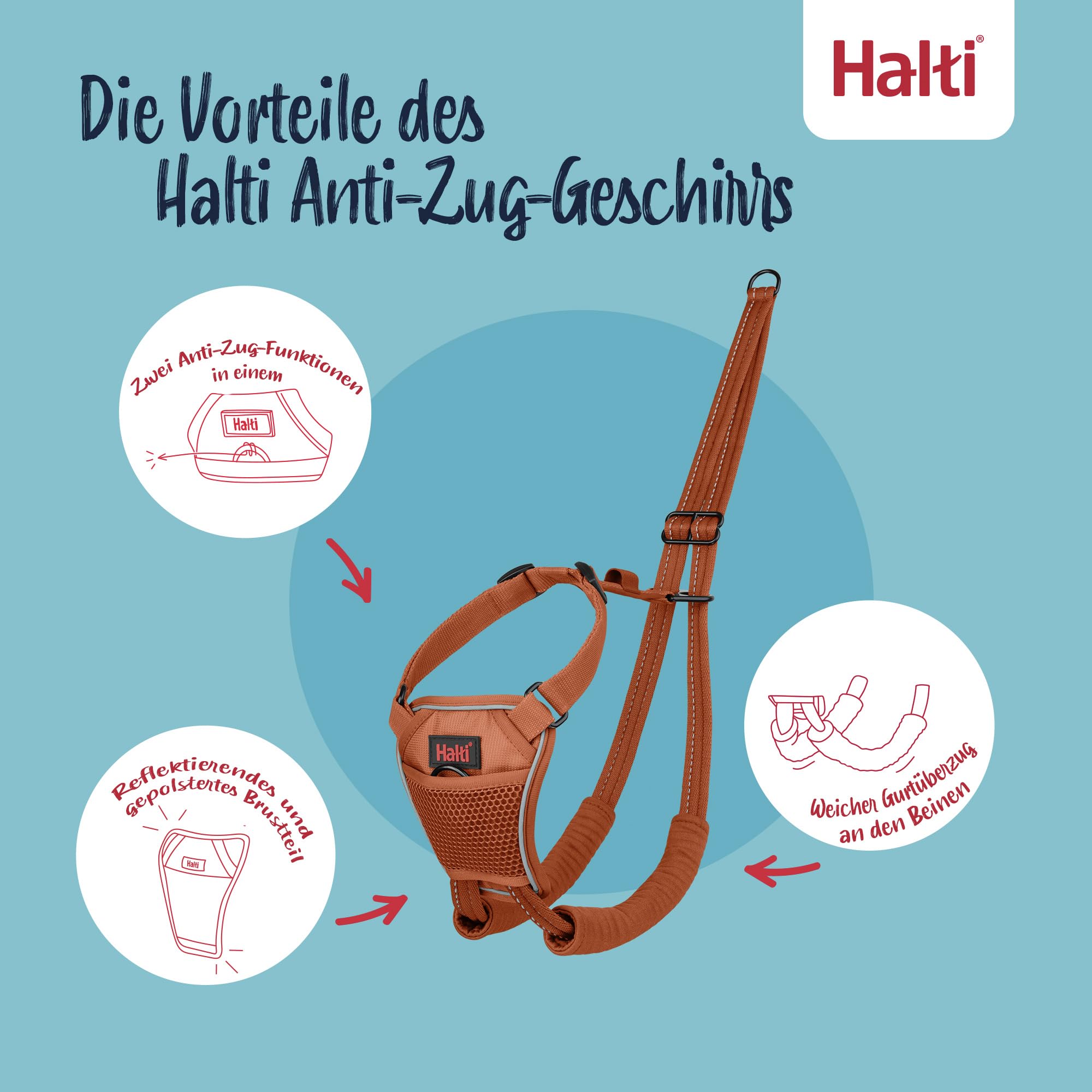 Marke: Halti HALTI No Pull Anti-Zug Geschirr - Verhindert, dass Ihr Hund an der Leine zieht, Gepolsterter Brust- und Beingurt, Reflektierendes Gurtmaterial, Einfache Anpassung und Benutzung (Größe M, Dunkelorange) in use