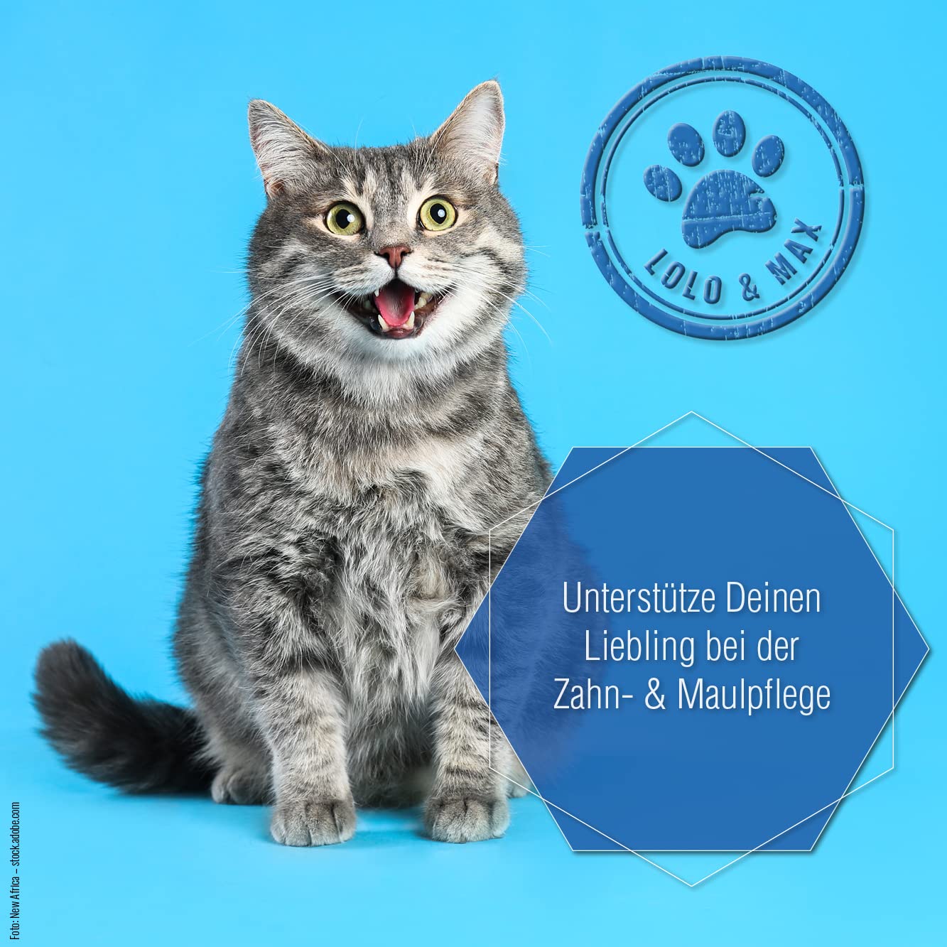 Lolo & Max natürliche Zahnpflege für Hund & Katze - DentaCare Trinkwasserzusatz zur Zahnreinigung für Haustiere - gegen Zahnbelag, Zahnstein & Maulgeruch - vegan - kein Mundgeruch mehr - 470ml