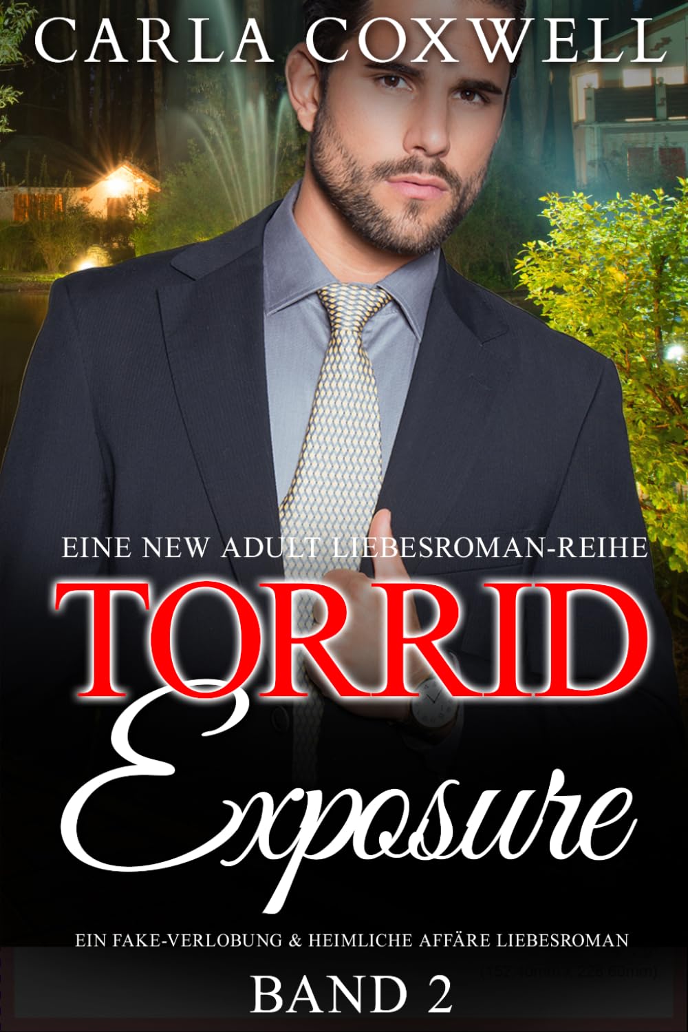 Torrid Exposure - Band 2: Ein Fake-Verlobung & Heimliche Affäre Liebesroman (Torrid Exposure New Adult Liebesroman-Reih)