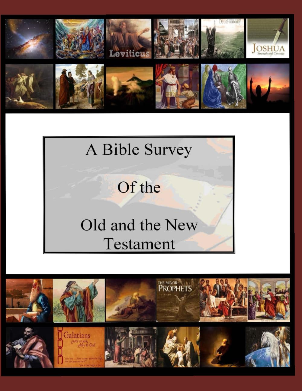 Bible Survey of the Old and New Testaments