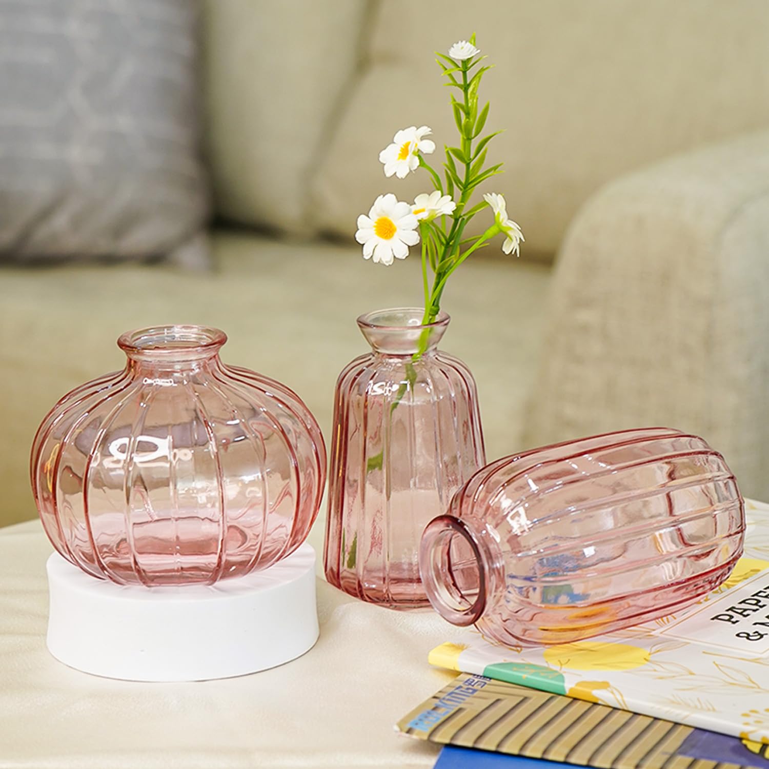 Ekhasa Pink Glass Bud Vases Flower Pots for Home Decoration (Set of 3) | Center Table Mini Decorative Items | Transparent Glass Vase for Water Plants | Glass Planters for Indoor Plants-image-22
