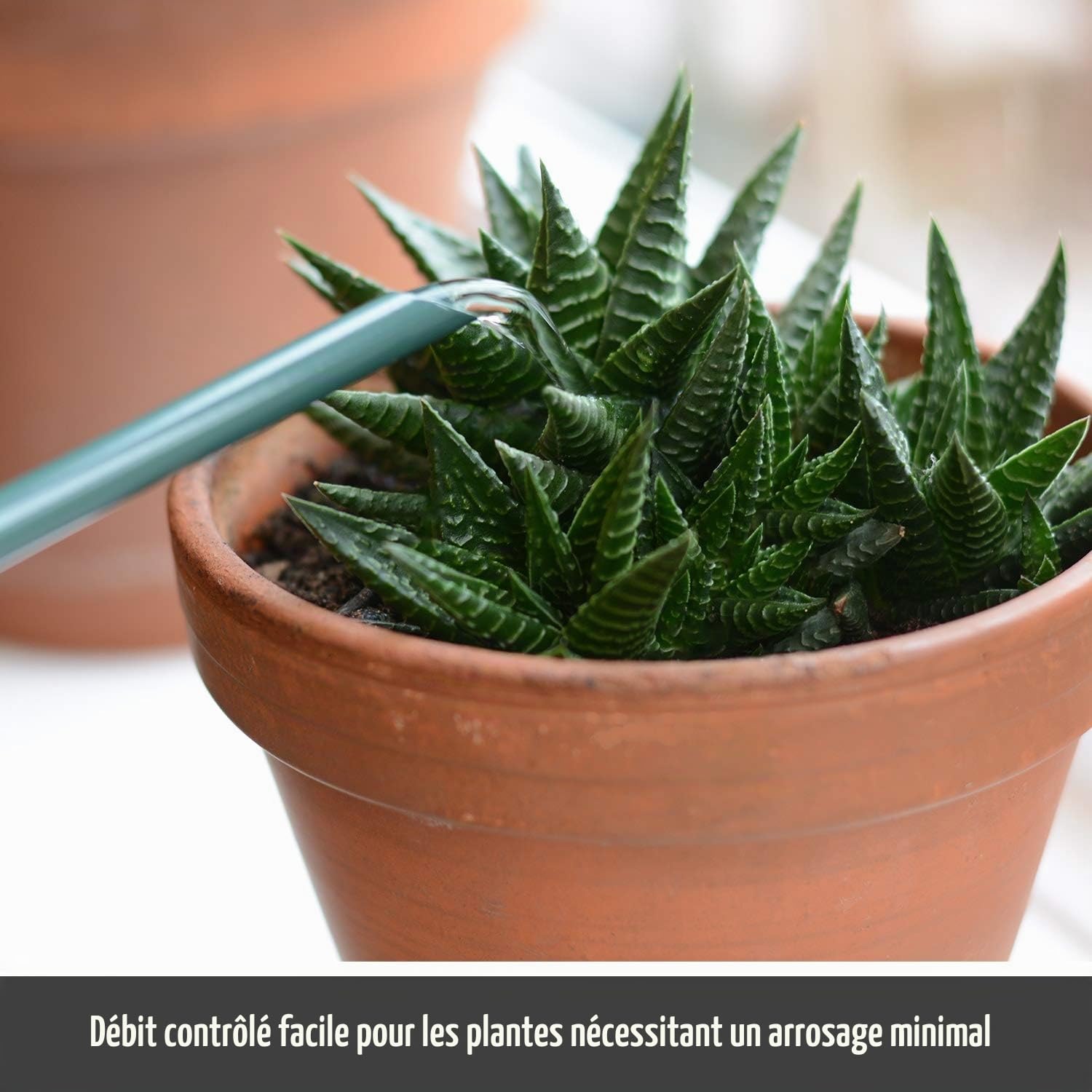 CKB LTD Petit arrosoir d'intérieur de 1,1L en acier galvanisé avec revêtement en poudre de couleur craie, pour plantes d'intérieur design contemporain en métal avec bec étroit et poignée haute (vert)
