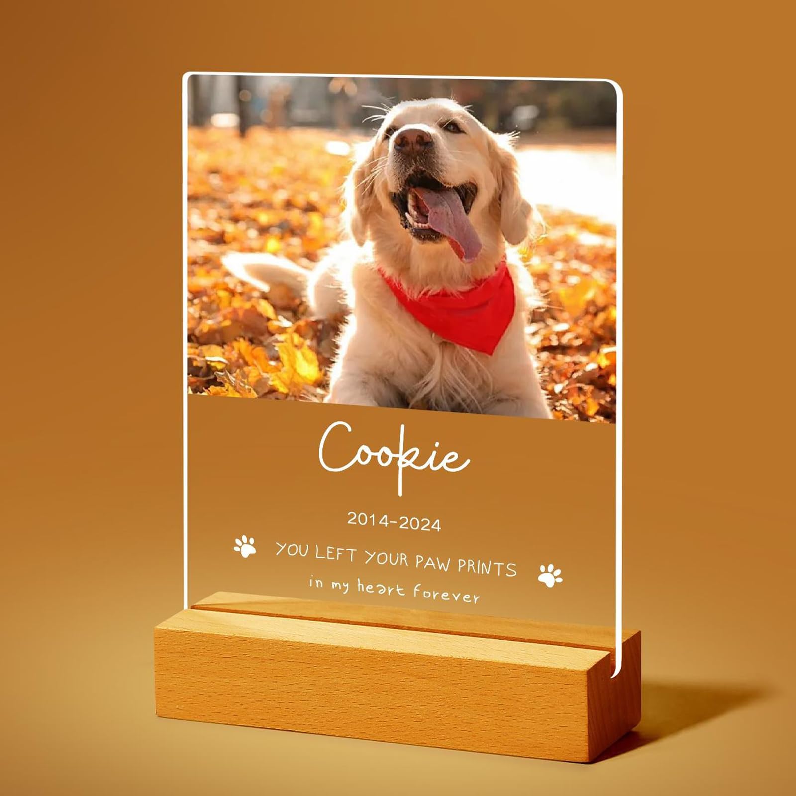 Jodimitty Personalised Pet Memorial Plaque Acrylic Panel optional LED Light & Wooden Base, Custom Color Photo & Name & Life Span & Message, Dog Cat Memorial Gifts, 5x7in / 6x8in (Style D)