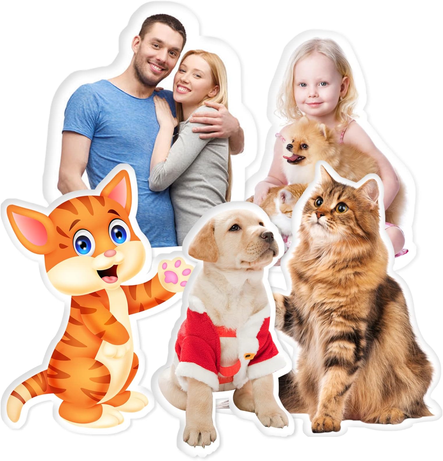 Custom Pillow, Photo Pillows(Inserts Included), Design