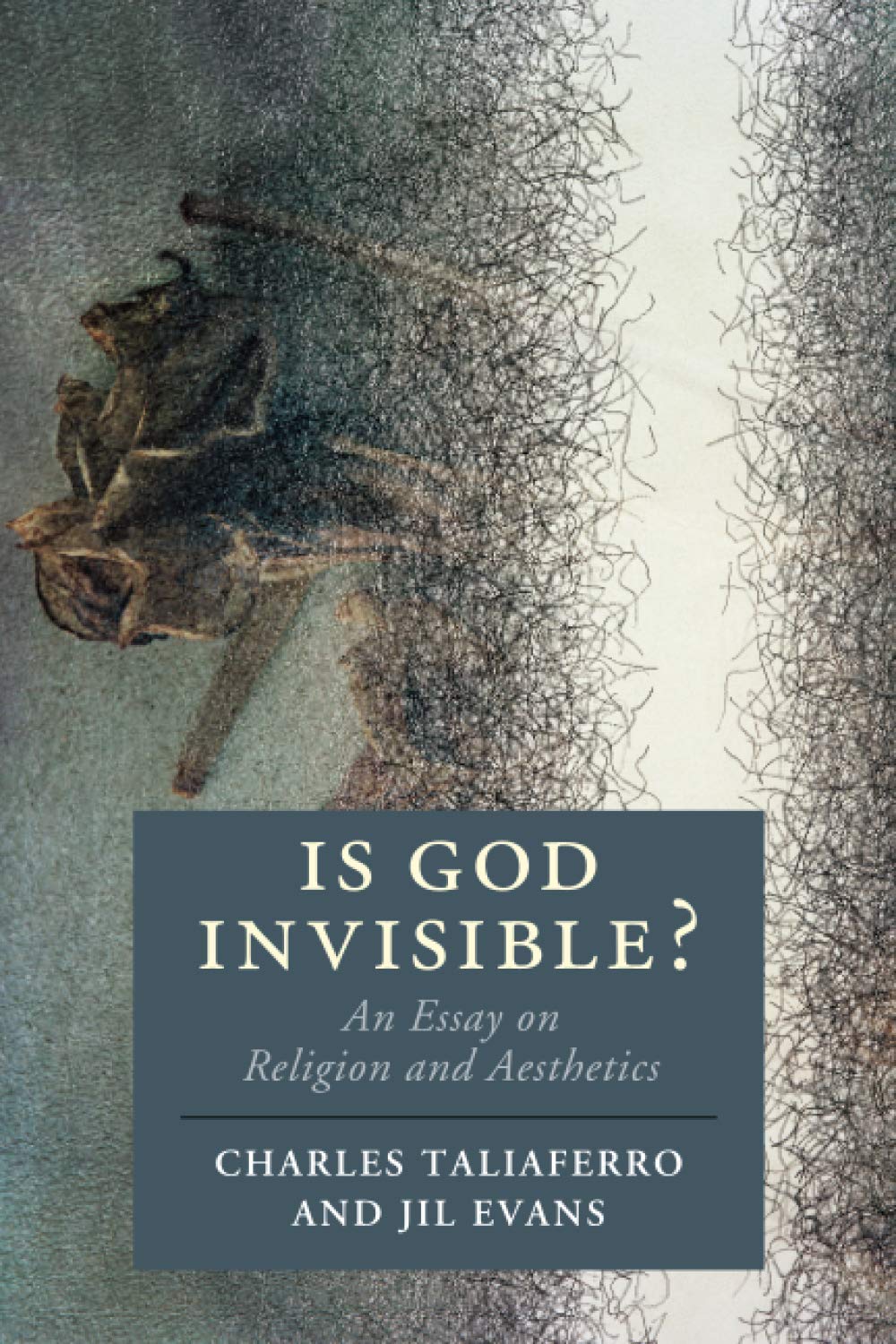 Is God Invisible? by Charles Taliaferro, Jil Evans - 9781108456517