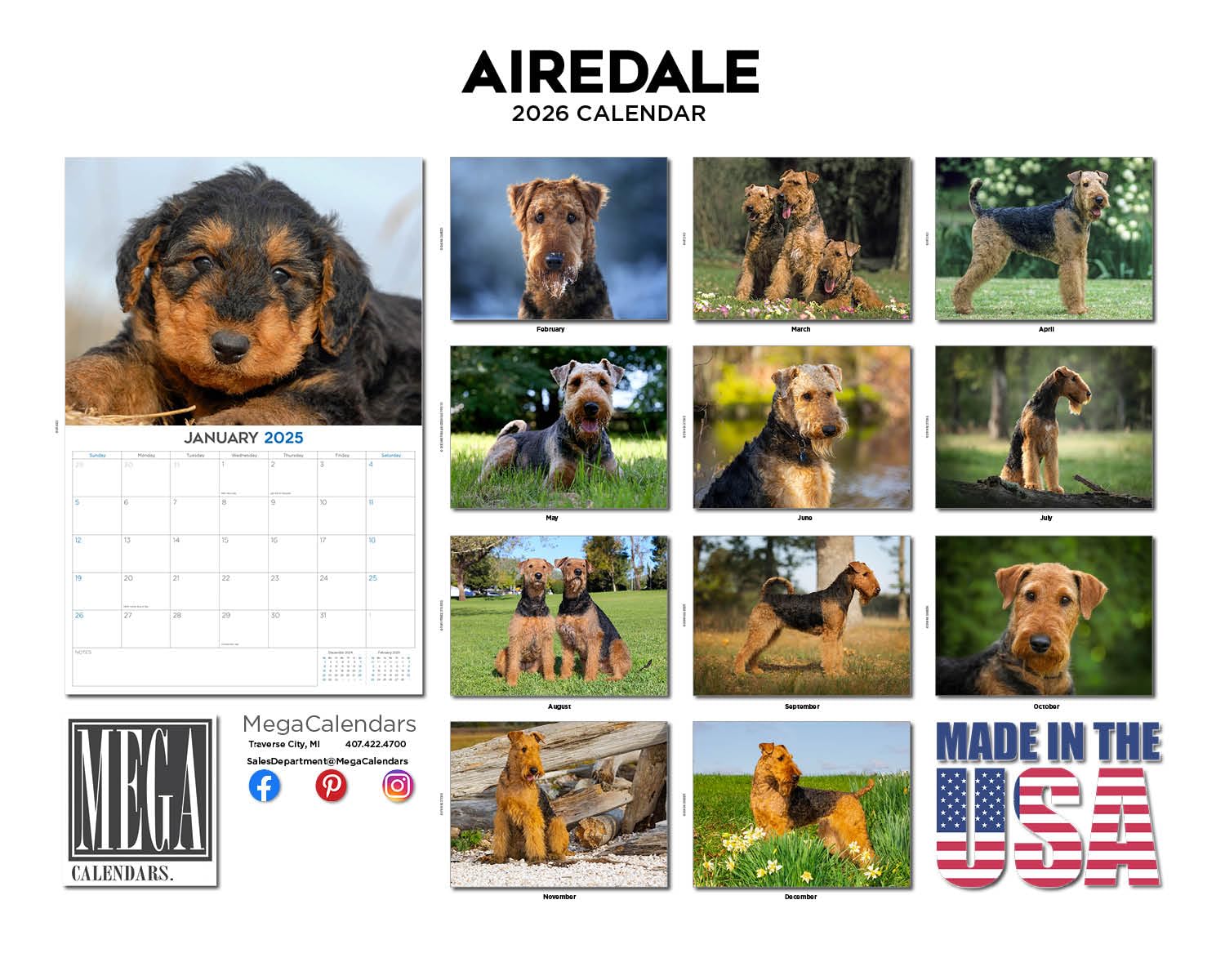 Calendario 2024 2025 Airedale – Calendario mensual de pared de raza de perro – 12 x 18 pulgadas abierto – Papel grueso que no se corre – Regalo – Calendario académico para profesores organizando y