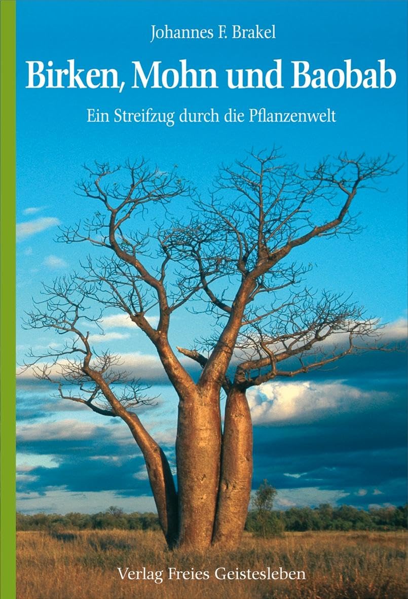 Birken, Mohn und Baobab: Ein Streifzug durch die Pflanzenwelt