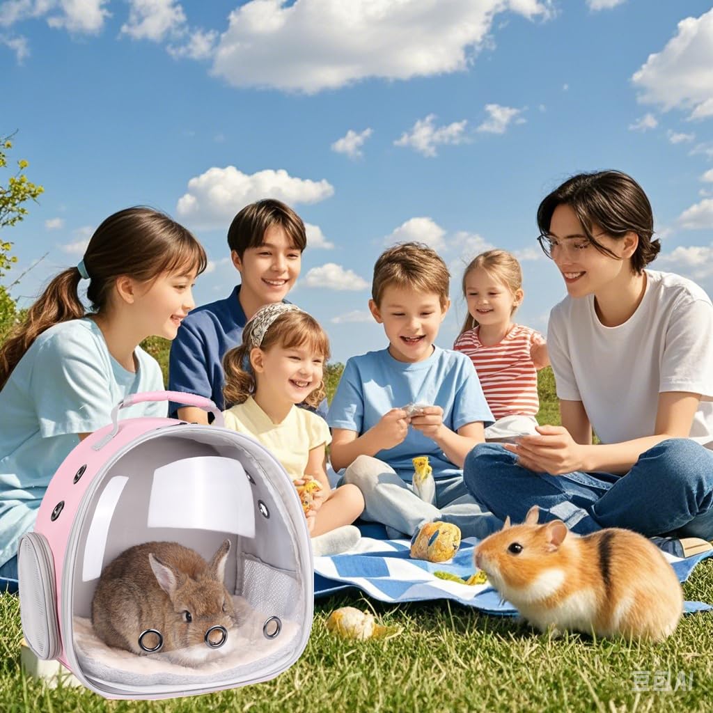 Tragbarer Rucksack für Kleintiere, Reisen, atmungsaktiv, Haustier-Tragetasche, Käfige für Meerschweinchen, Kaninchen, Bartagamen, Eichhörnchen, Schildkröte, Vogel, Eidechse, Zuckergleiter