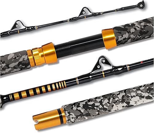Best Saltwater Fishing Rods 10 Best Saltwater Fishing Rods
