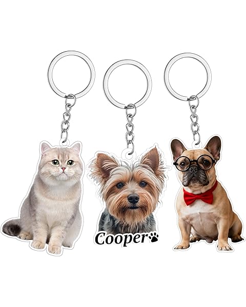 UHOT Custom Acrylic Dog Cat Keychain with Photo Personalized Pet Memorial Key chain Customized Keychains Gifts for Pet Lovers