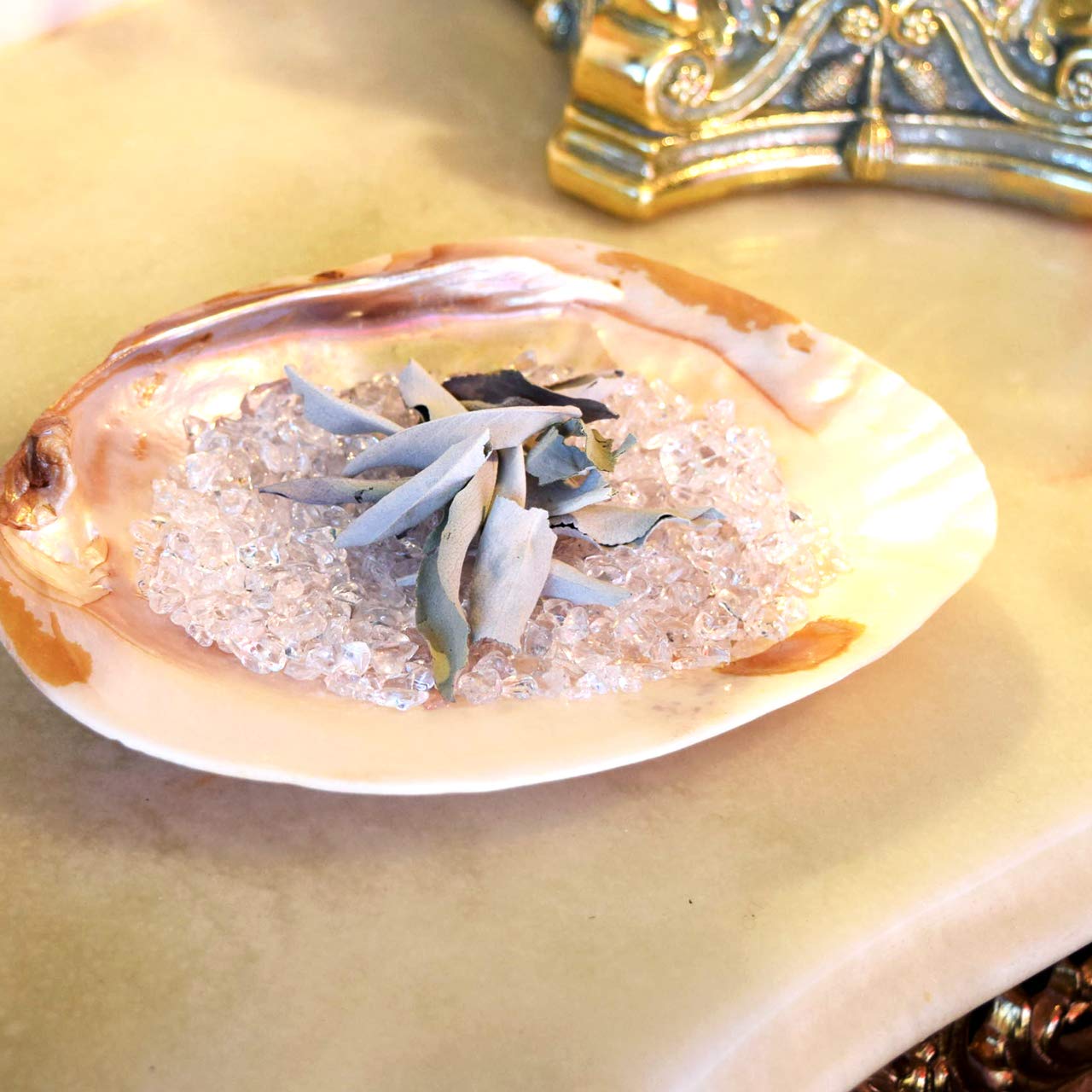 Amazon.co.jp: イケチョウ貝 パールシェル 浄化 セット ホワイトセージ