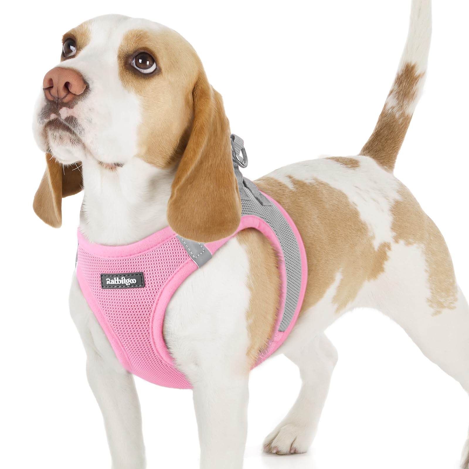 rabbitgoo Hundegeschirr kleine Hunde, Step-in Soft Mesh Hundegeschirr mit Sicherheitsverschluss, atmungsaktives und reflektierendes Welpengeschirr für kleine Hunde