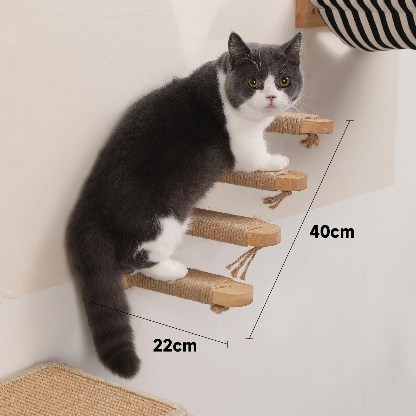 FUKUMARU Kletterwand für Katzen, Katzentreppe Wand, Wandliege aus Massivem Gummiholz, für Katzen bis 15 kg, mit Juteseil zum Kratzen, 40cm
