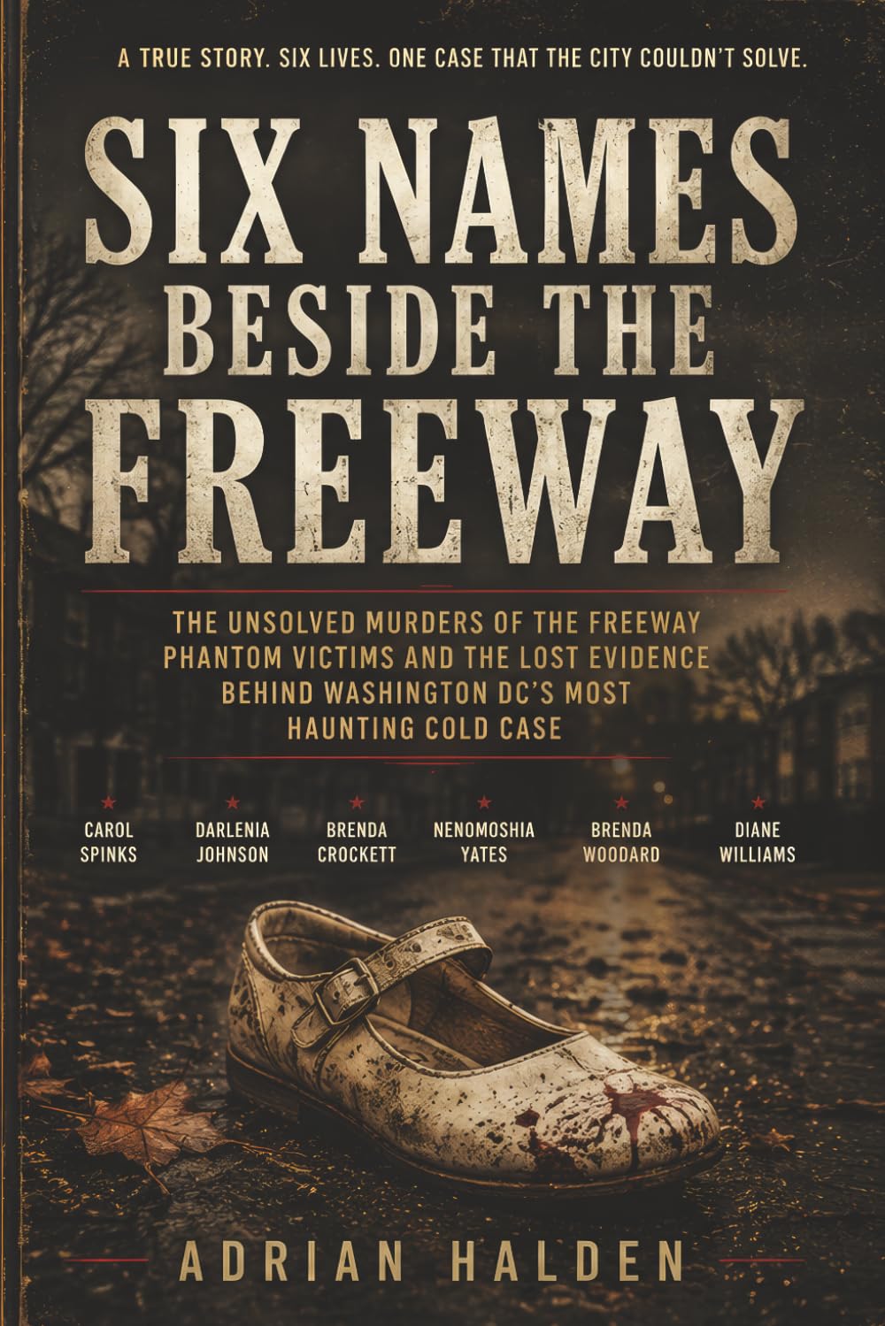Six Names Beside the Freeway: The Unsolved Murders of the Freeway Phantom Victims and the Lost Evidence Behind Washington DC’s Most Haunting Cold Case