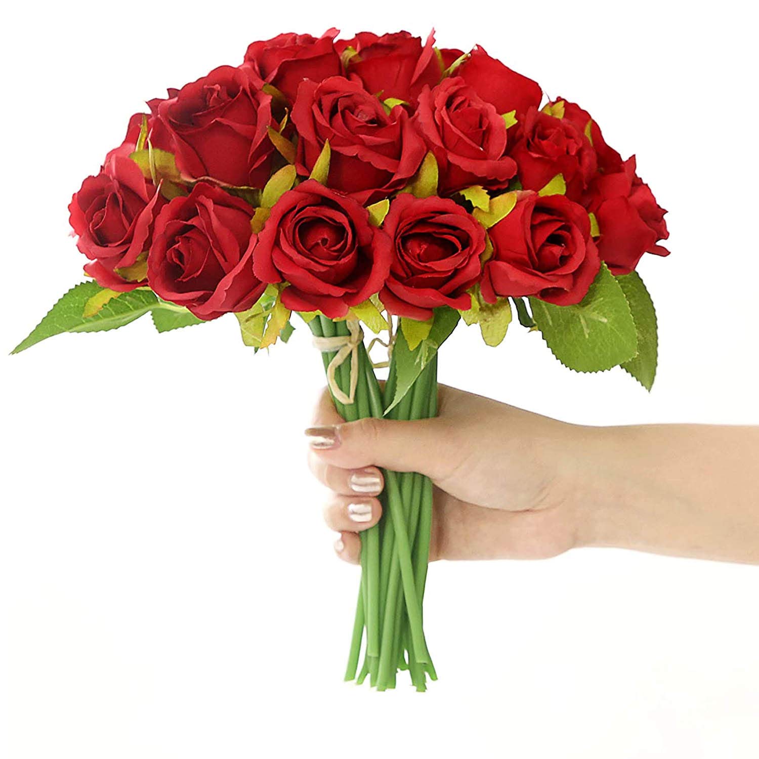 Tied Ribbons Set Of 12 Artificial Rose Flowers Bunches For Vase (24 Cm, Red) - Home Decoration Gift Items For Living Room Corner Table Top Bedroom Wedding Valentine (Pot Not Included) - Polyester (B0CKHF62LP) Amazon Price History, Amazon Price Tracker