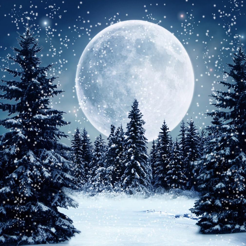 AOFOTO 10x10ft Winter Snow Night Forest Backdrop Fairytale Snowscape Pine Fir Trees Snowfall Photography Background Full Moon Snowing Christmas Xmas