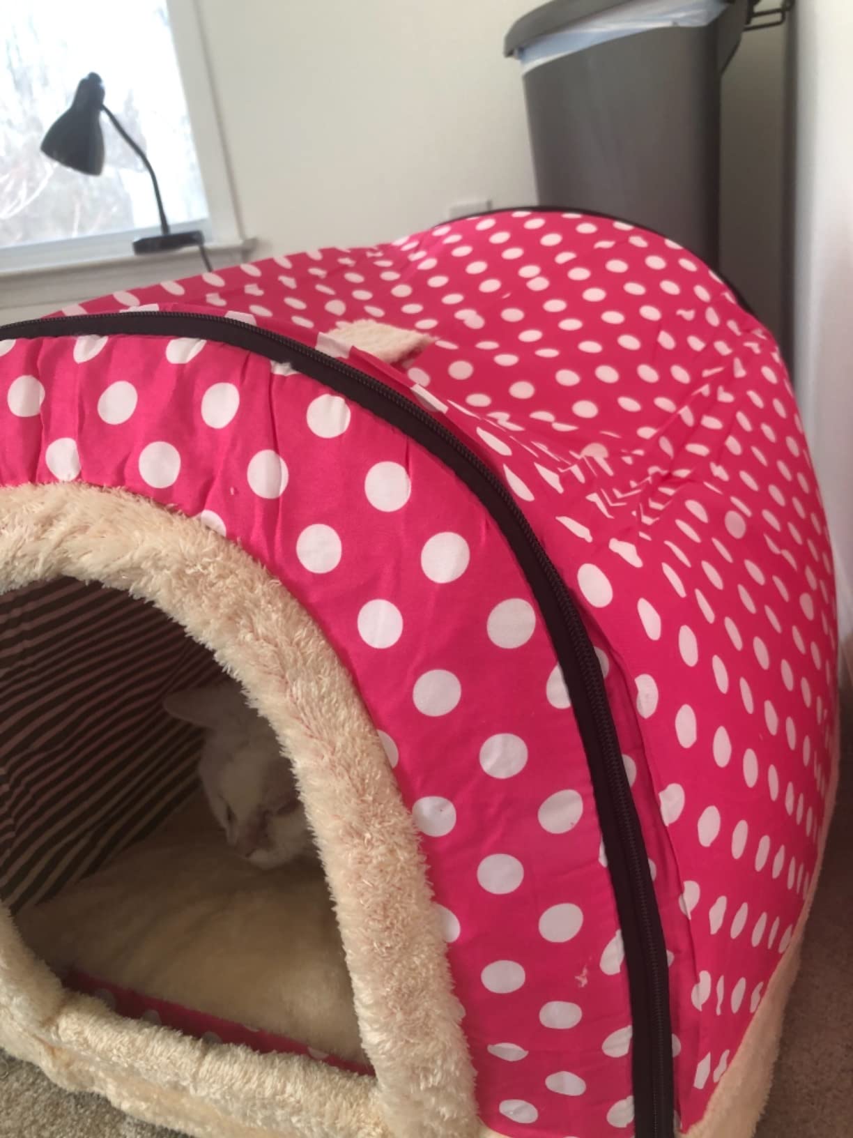 10/mo Finance ANPPEX Igloo Dog House, Portable Cat Igloo Bed with