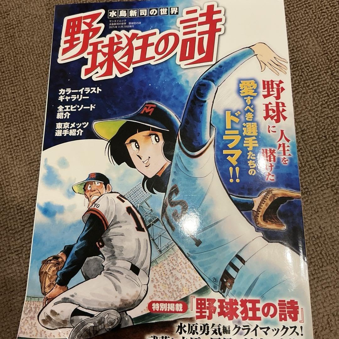 Amazon.co.jp: 水島新司の世界 野球狂の詩 ムックその他 : おもちゃ
