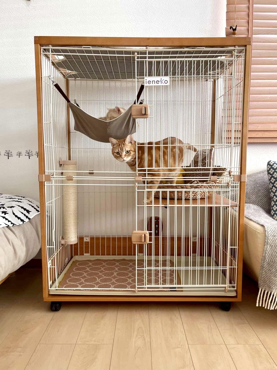 Amazon | ieneko 猫 ケージ 2段 キャットケージ キャットサークル 幅96