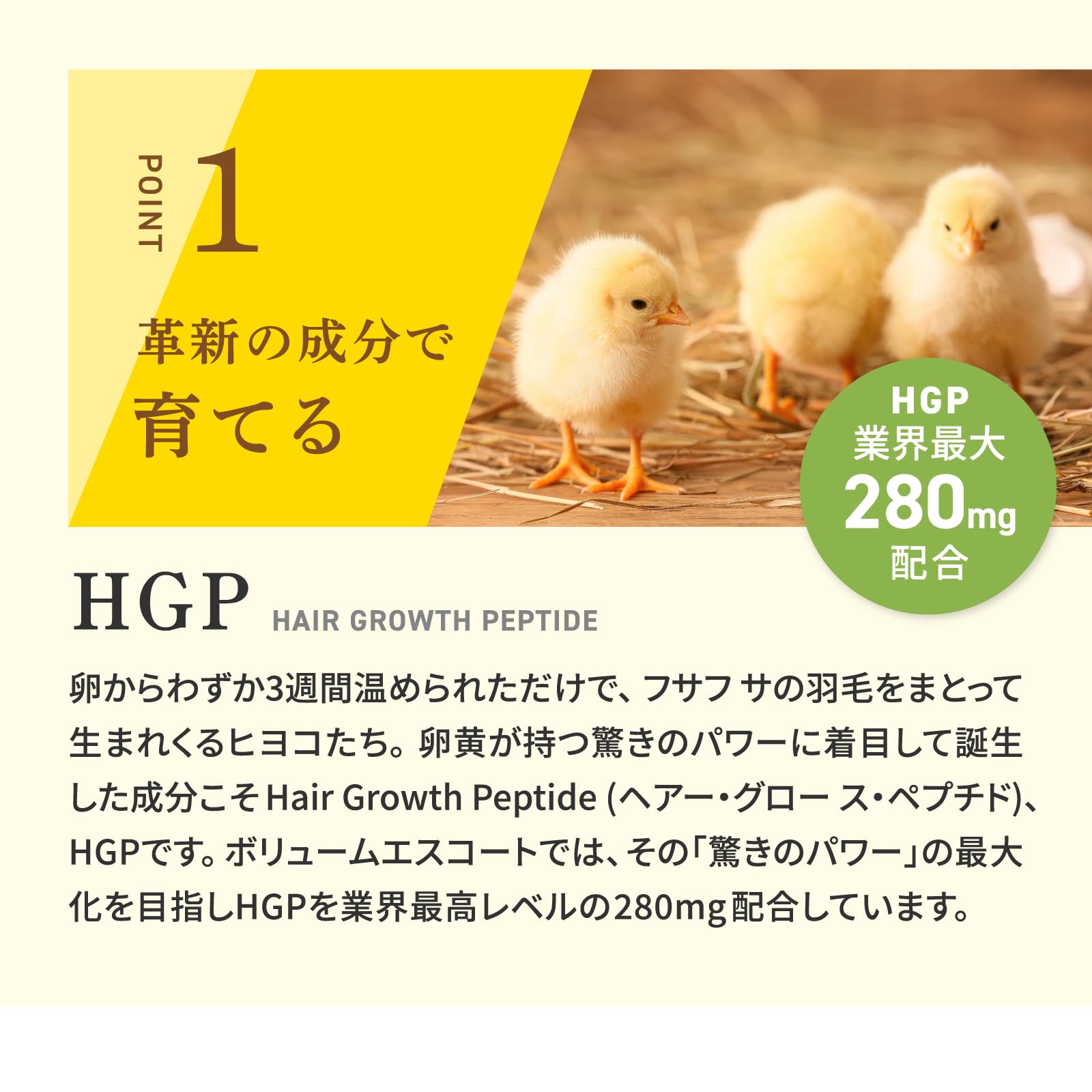 Amazon | アデランス ボリュームエスコート サプリメント 日本製 亜鉛  