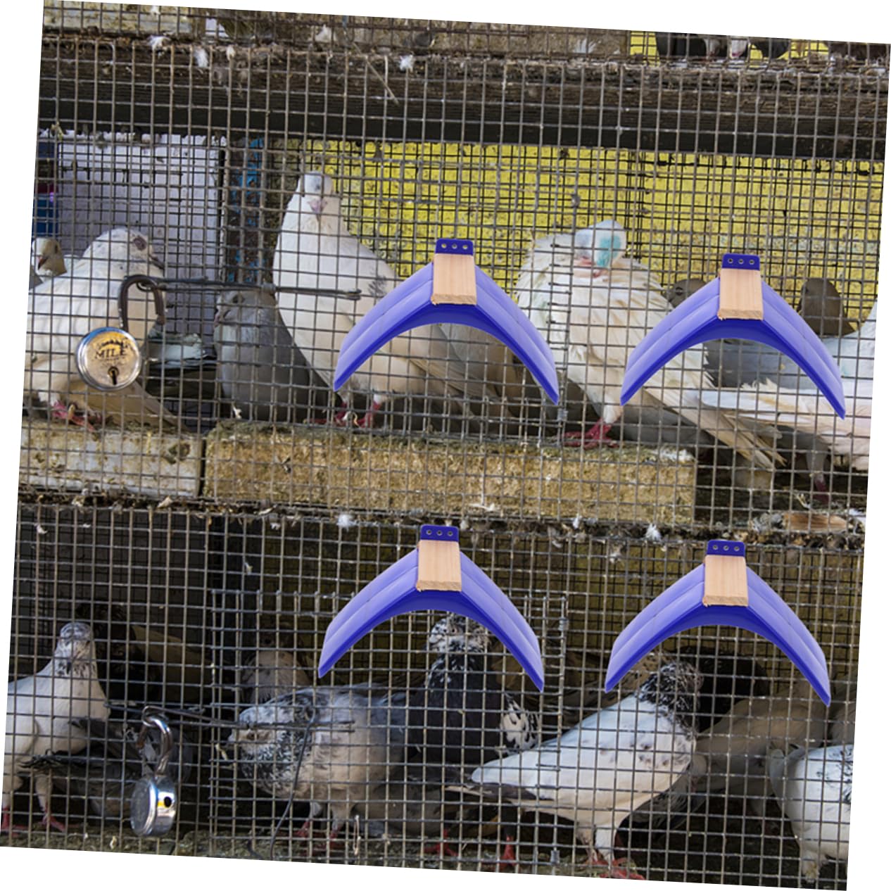 UPKOCH Lot de 10 Perchoirs à Pigeons en Bois et PP Bleu, Polis et Sûrs pour Oiseaux, Support D'activité pour Perroquets et Oiseaux, pour Cage et Entraînement