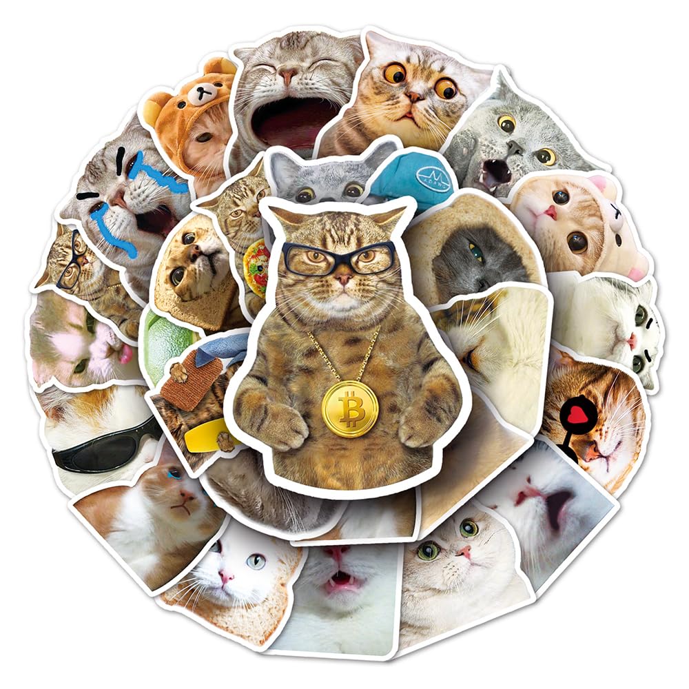Funny Cat Vinyl Stickers, 50 PCS Waterproof Realistic Animal Decals for Laptops Scrapbooking, Journals, Notebooks