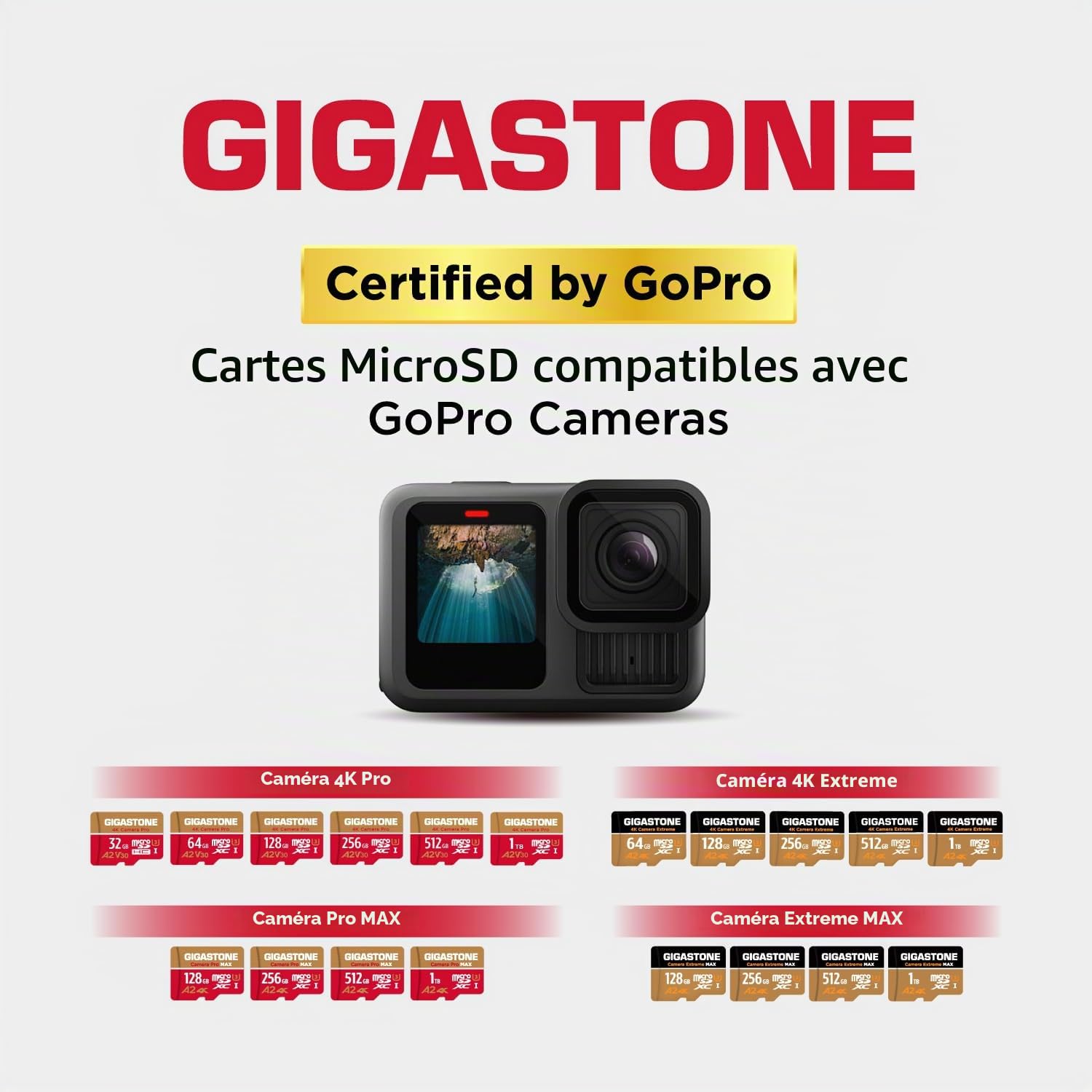 Gigastone Carte Mémoire 64 Go 4K Caméra Pro, Compatible avec GoPro Drone Switch, Vitesse 95 Mo/s. pour 4K Vidéo, A2 U3 V30 Carte Micro SDXC avec Adaptateur SD.