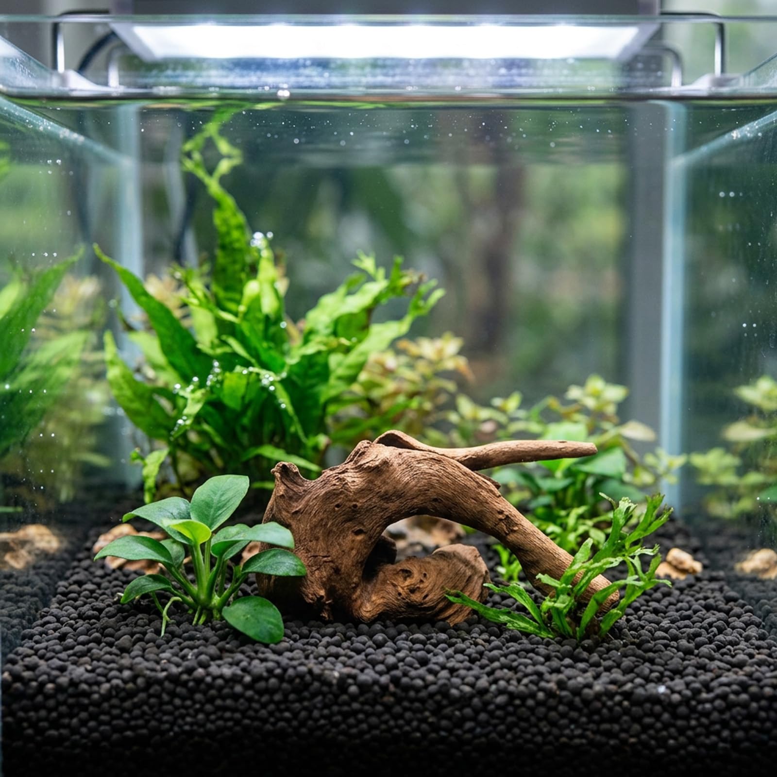 4 Pièces Bois Flotté pour Aquarium, Racine Aquarium Naturelle, Décoration Aquarium pour Paysage Aquatique, Branches Décoratives pour Terrarium et Décoration Intérieure(5-10CM, 10-15CM)