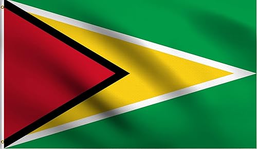 Miniatura 58 de DMSE Bandera de Sierra Leona 3X5 Pies 100% Poliéster Bandera 100D