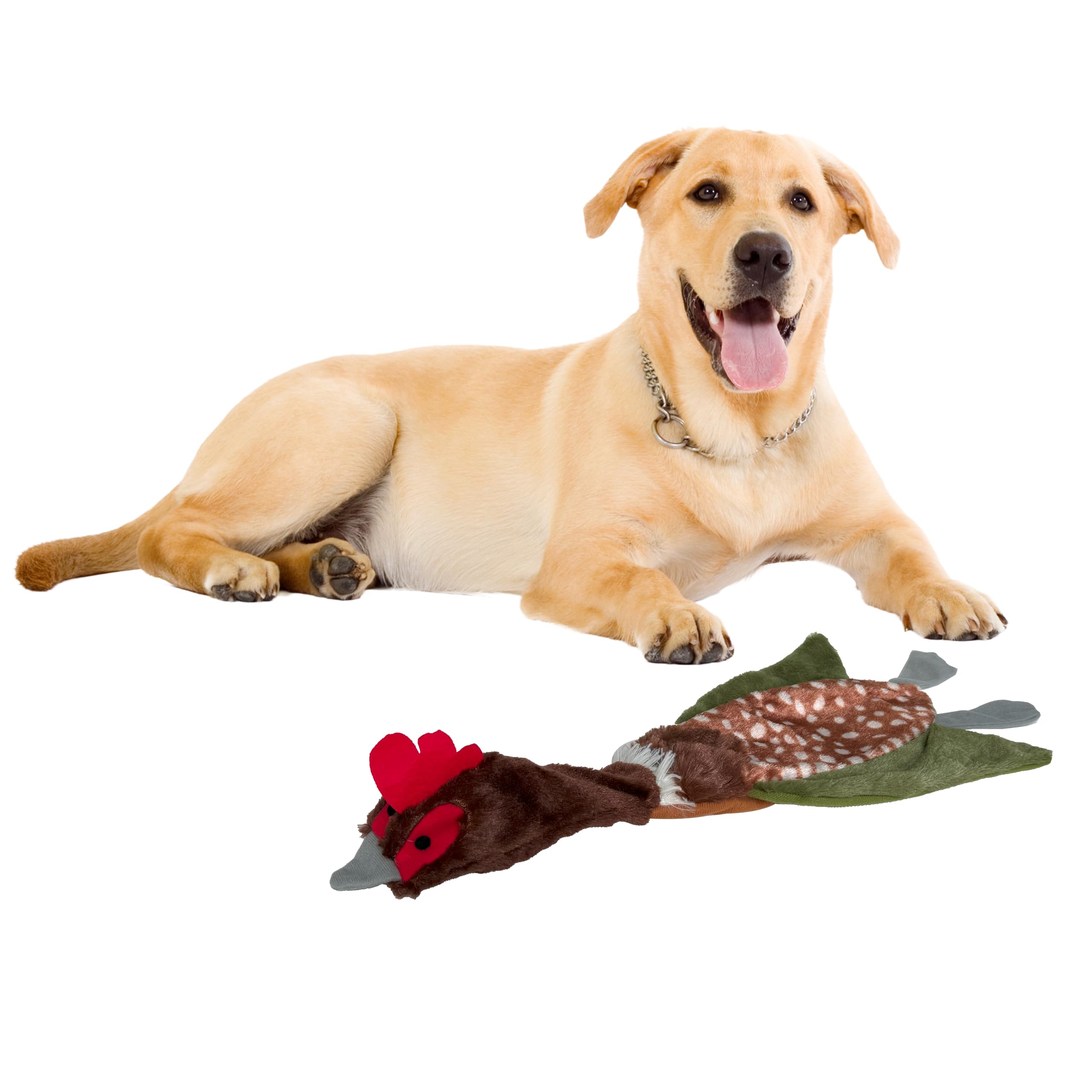 SPOT Skinneeez Crinklers Bird- Stuffing-Free Dog Toy with Crinkle and Squeaker Sounds, Durable Tug Toy for Moderate Chewers, Ideal for Medium and Large Dogs, Assorted Styles, 23 in Large Bird